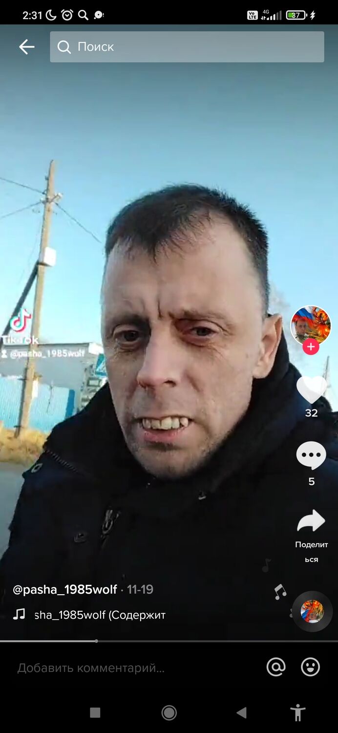 ���� 31346142 ������� �����, 40 ���, ���� ���������� � ����������