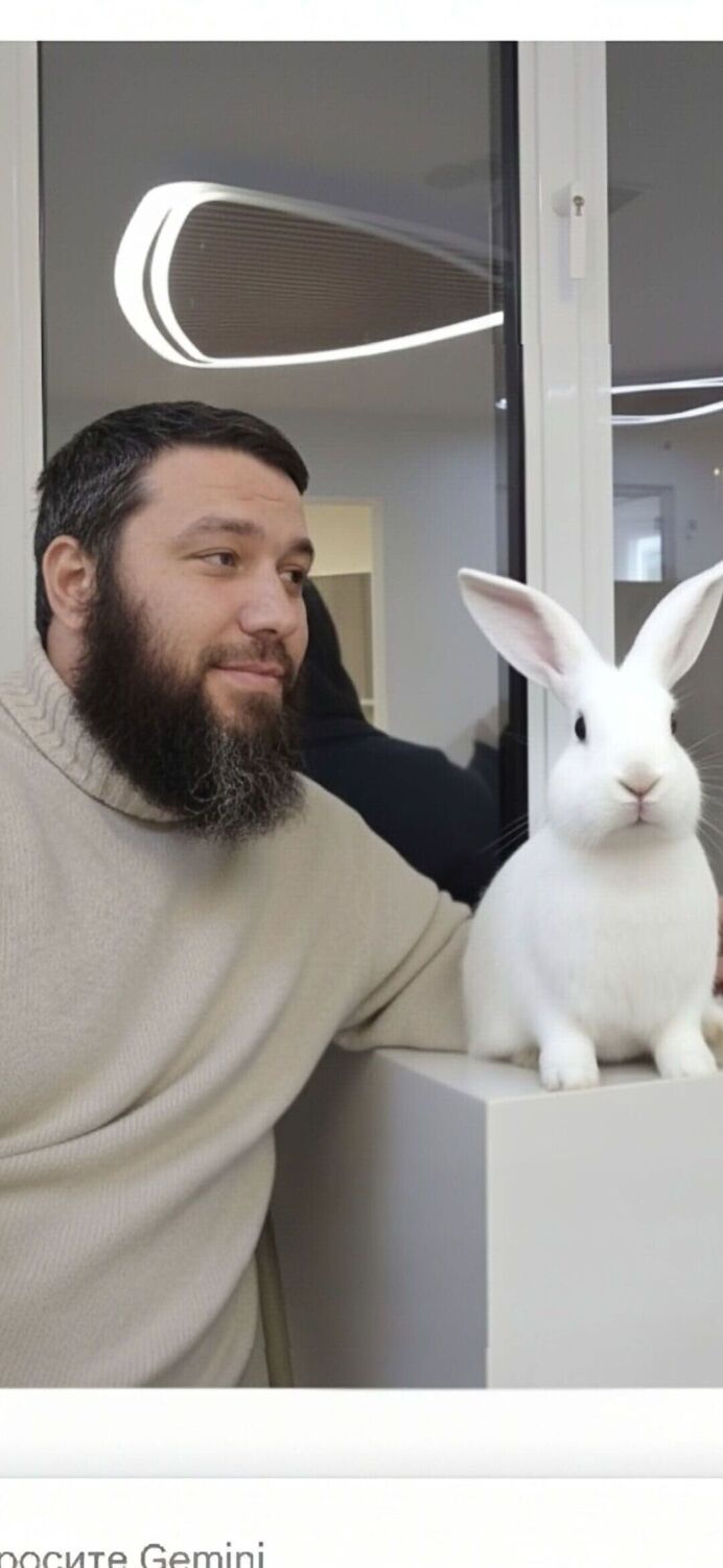 ���� 54857192 ������� �����, 34 ����, ���� ���������� � ������