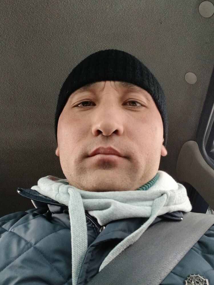 49681112  , 40 ,    