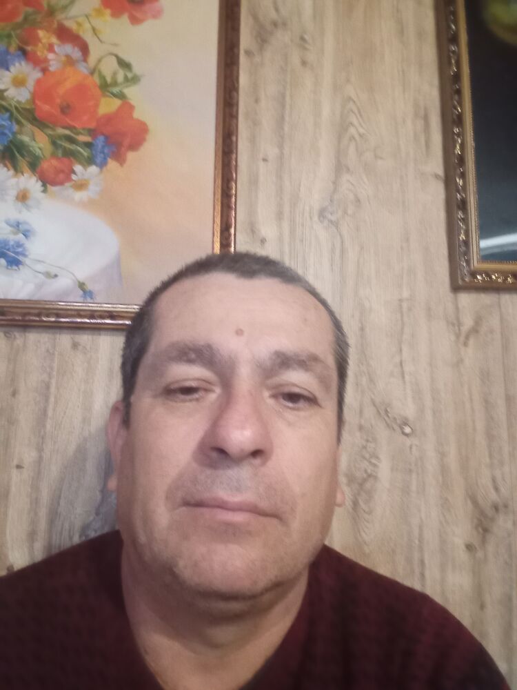  50773972  , 46 ,    