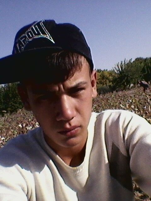 ���������� ���������, ���� ������� �����, 29 ���, ������������ ��� ������