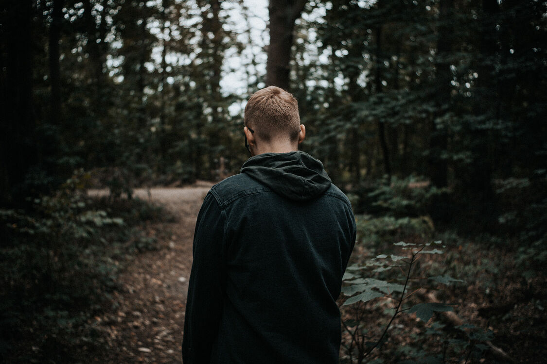 ���� 31763192 ������� ������, 38 ���, ���� ���������� � ����������