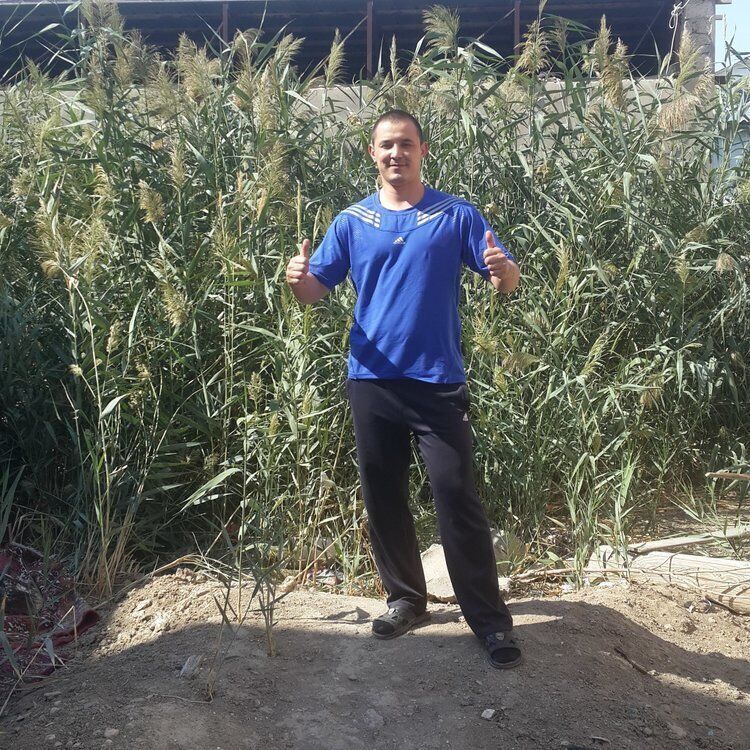 ���� 24413172 ����� �����, 22 ����, ���� ���������� � ������