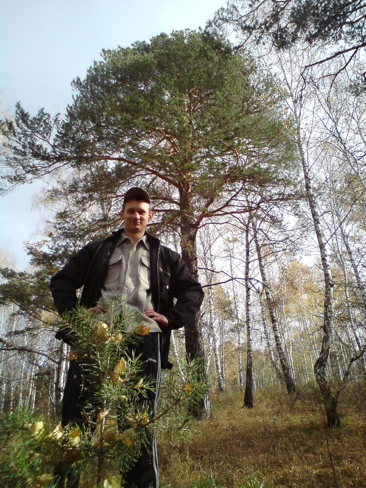 ���������� �����, ���� ������� ��������, 41 ���, ������������ ��� ������, ����� � ���������, c�������� ���������, ���������