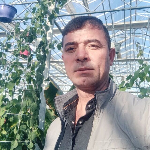 ���� 51216732 ������� ������, 39 ���, ���� ���������� � ��������