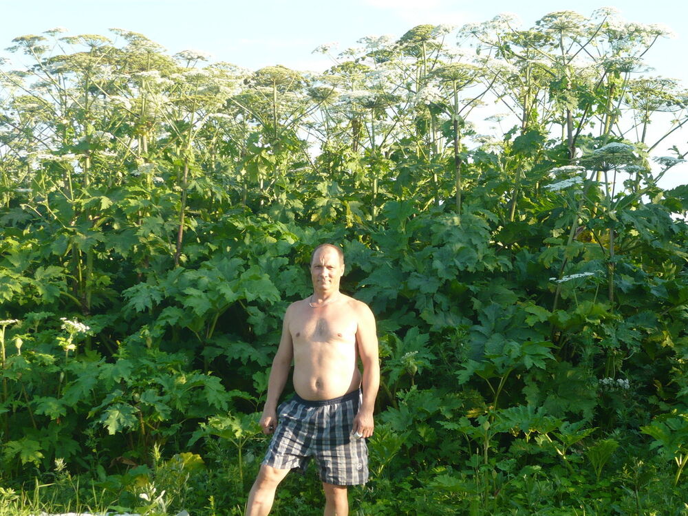  ,   , 58 ,   