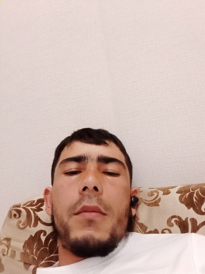  34773132  , 31 ,    