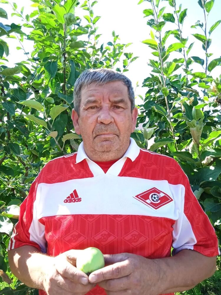 ���� 56156282 ������� ��������, 71 ���, ���� ���������� � �����������