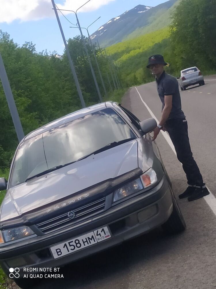  27669262  , 33 ,    -