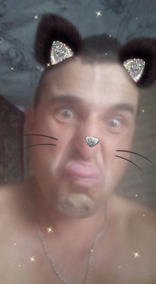  29408872  , 42 ,    