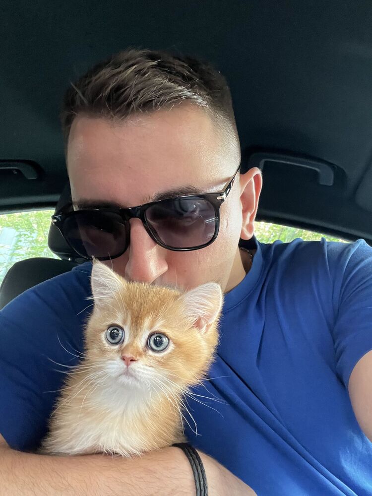 ���������� ������, ���� ������� ��, 32 ����, ������������ ��� ������, ����� � ���������