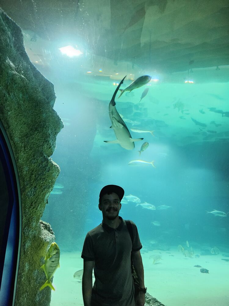 ���������� ������������, ���� ������� ���������, 33 ����, ������������ ��� ������, ����� � ���������, c�������� ���������, ���������