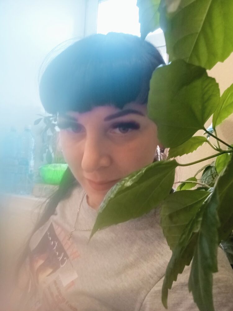 ���������� �������������, ���� ������� �������, 43 ����, ������������ ��� c�������� ���������, ���������