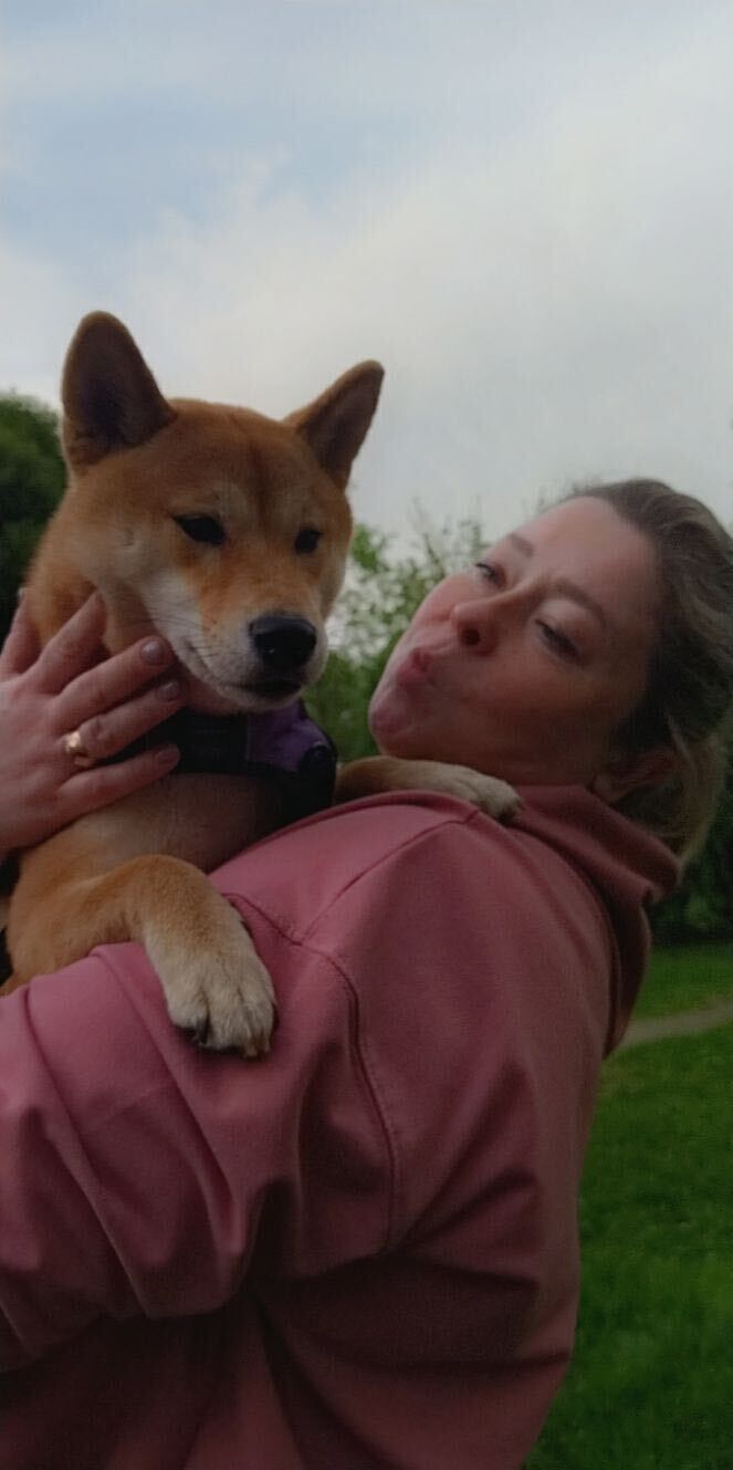 ���������� ������, ���� ������� �����, 46 ���, ������������ ��� ������, ����� � ���������