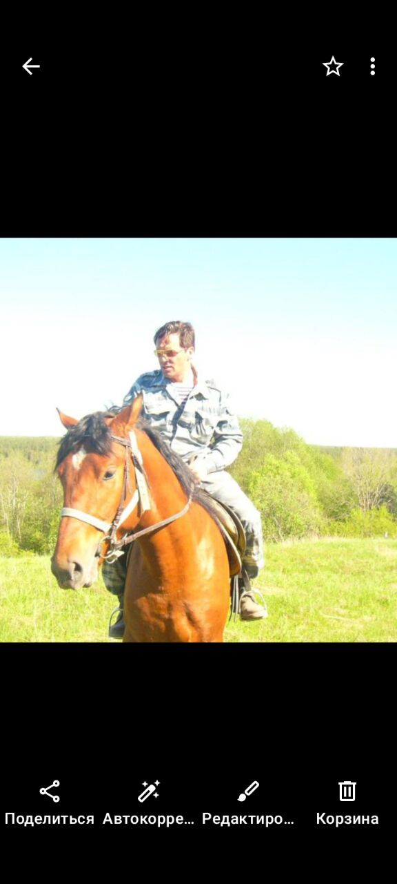 ���� 24517482 ������� �������, 58 ���, ���� ���������� � ������