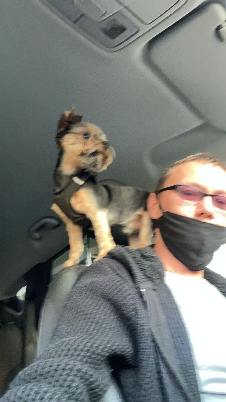 ���������� ������, ���� ������� �������, 45 ���, ������������ ��� c�������� ���������, ���������