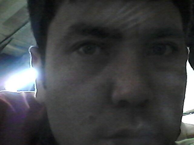 ���� 4478262 ������� Romeo, 37 ���, ���� ���������� � �������������