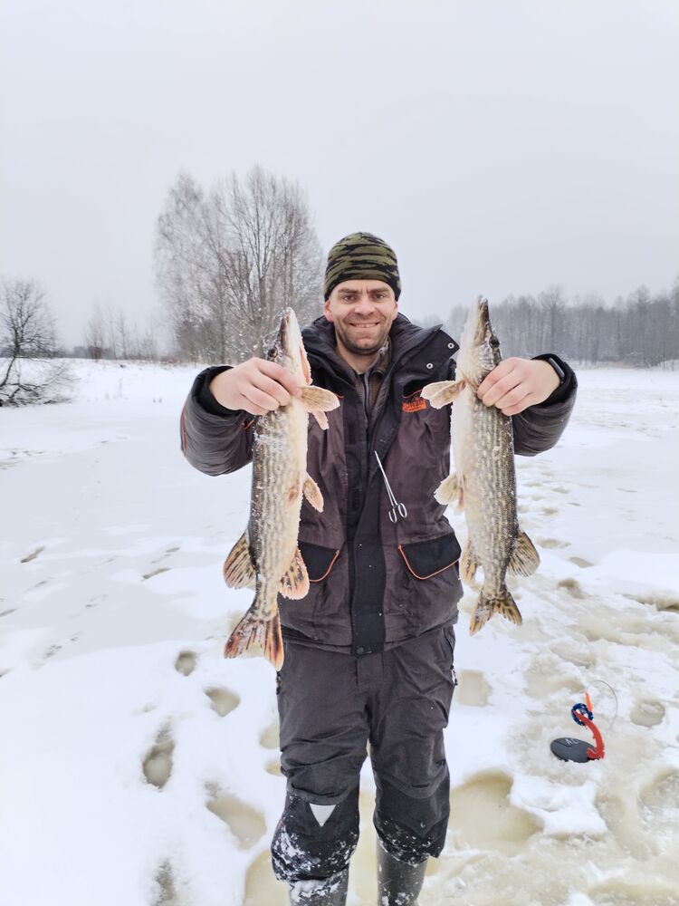 ���� 40276132 ������� ���������, 40 ���, ���� ���������� � ������