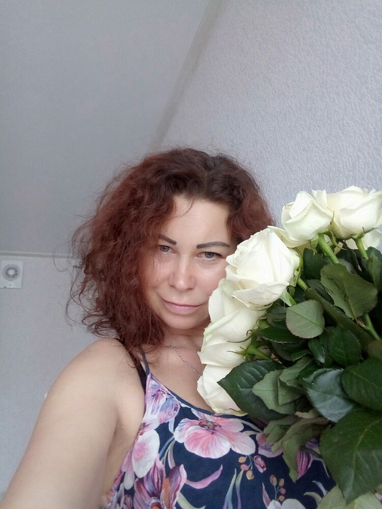  24008172  , 52 ,    