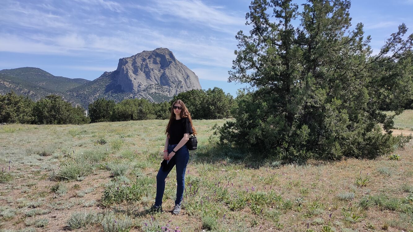 ���������� ������ ��������, ���� ������� �����, 26 ���, ������������ ��� ����� � ���������, c�������� ���������