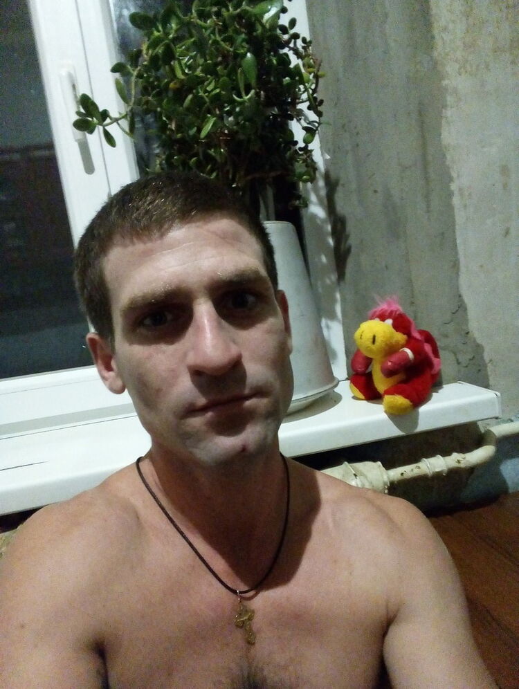  13658652  , 36 ,    