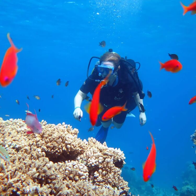 ���������� �����-���������, ���� ������� �����, 29 ���, ������������ ��� ������