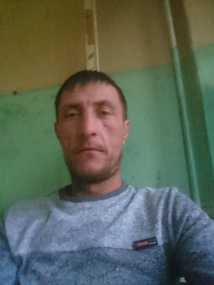  29176972  , 42 ,     