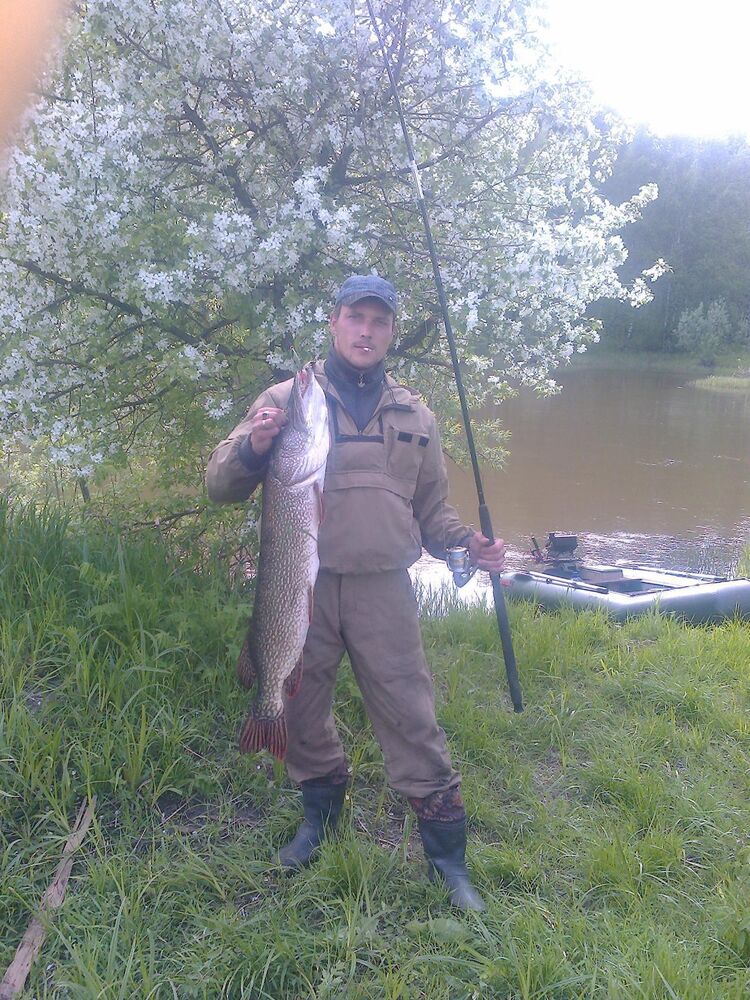 ���� 31119452 ������� �������, 39 ���, ���� ���������� � �����������