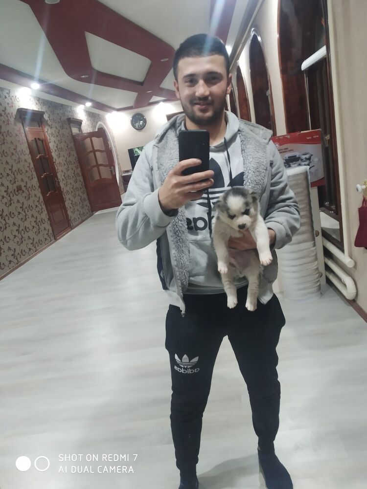  ,   , 24 ,  