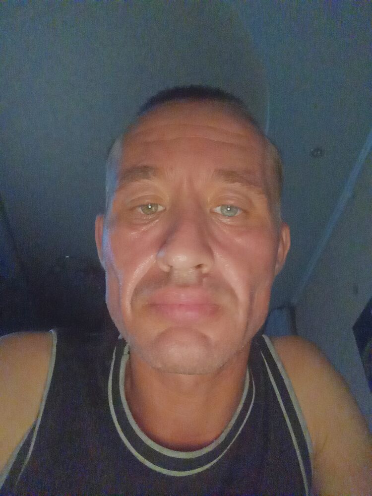 53392732  , 39 ,    -