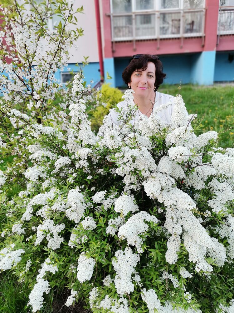 ���������� �����, ���� ������� �������, 55 ���, ������������ ��� ������, ����� � ���������, c�������� ���������