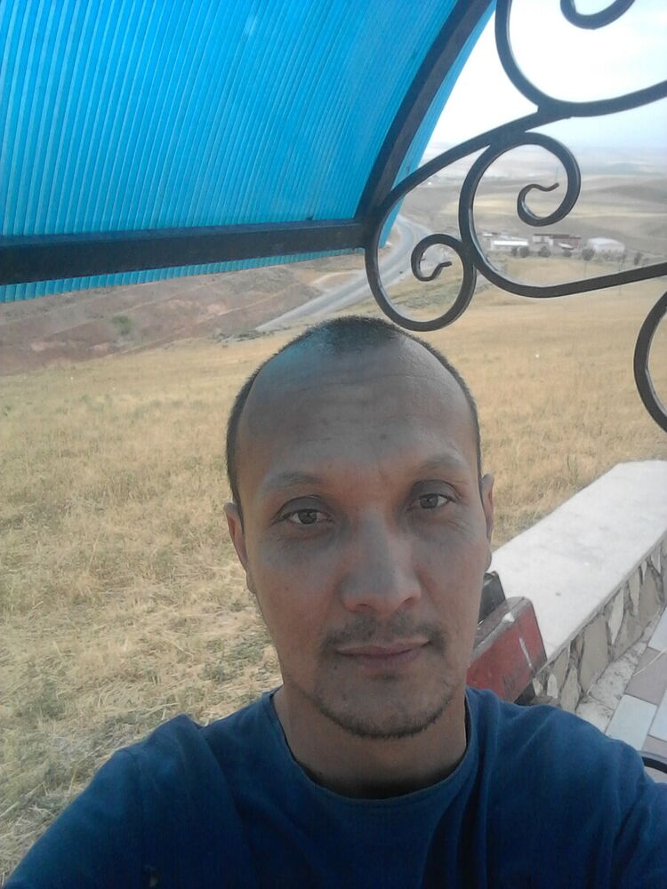  20597012  , 41 ,    