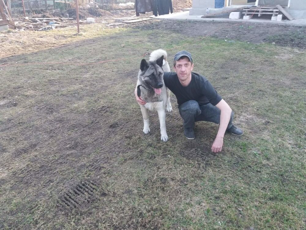 ���������� �������, ���� ������� ������, 48 ���, ������������ ��� ����� � ���������, c�������� ���������