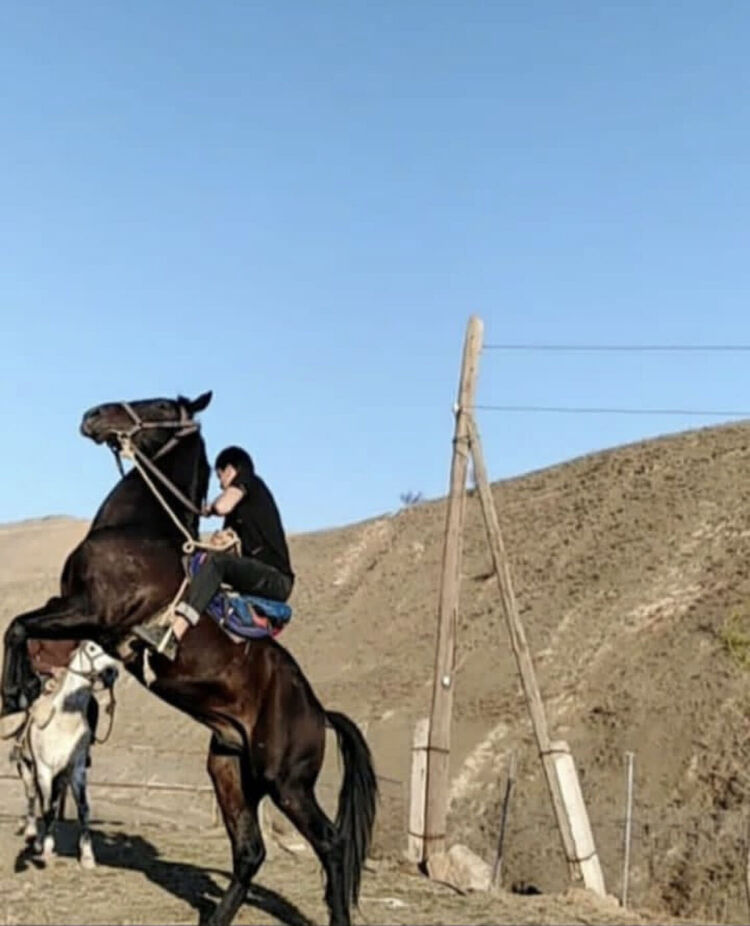 ���� 34070872 ����� ����, 25 ���, ���� ���������� � ������