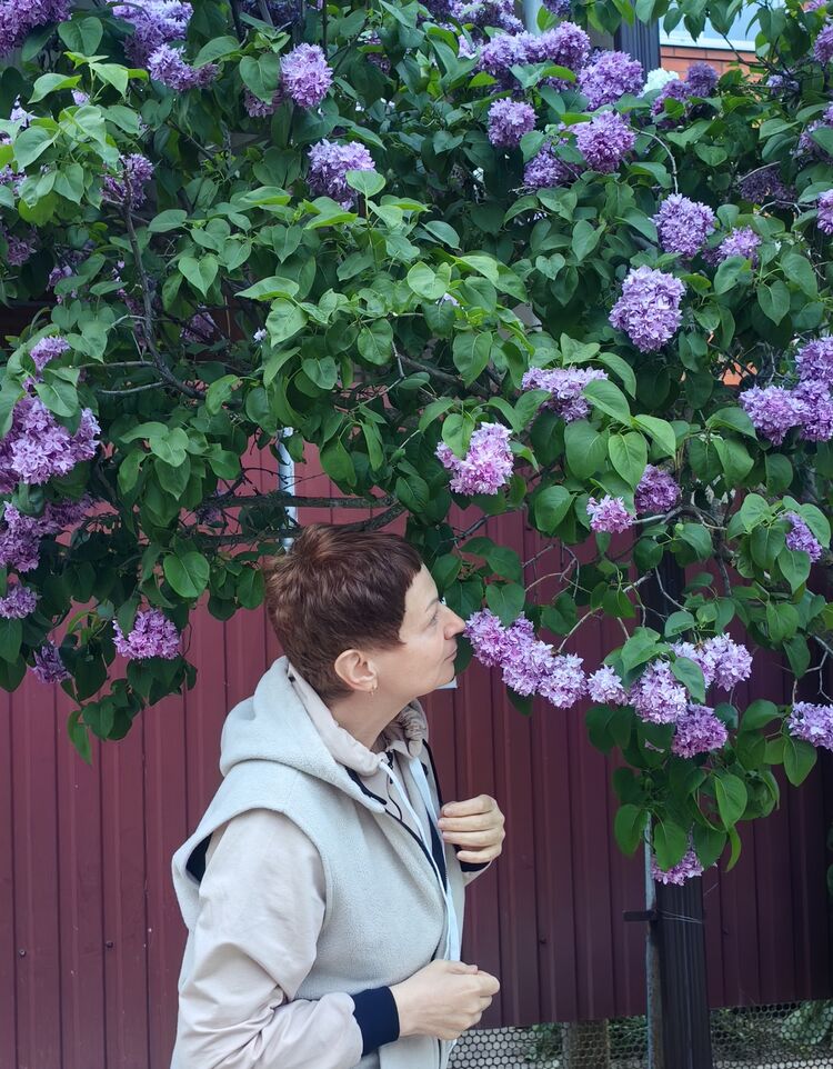  ,   , 57 ,     , c 