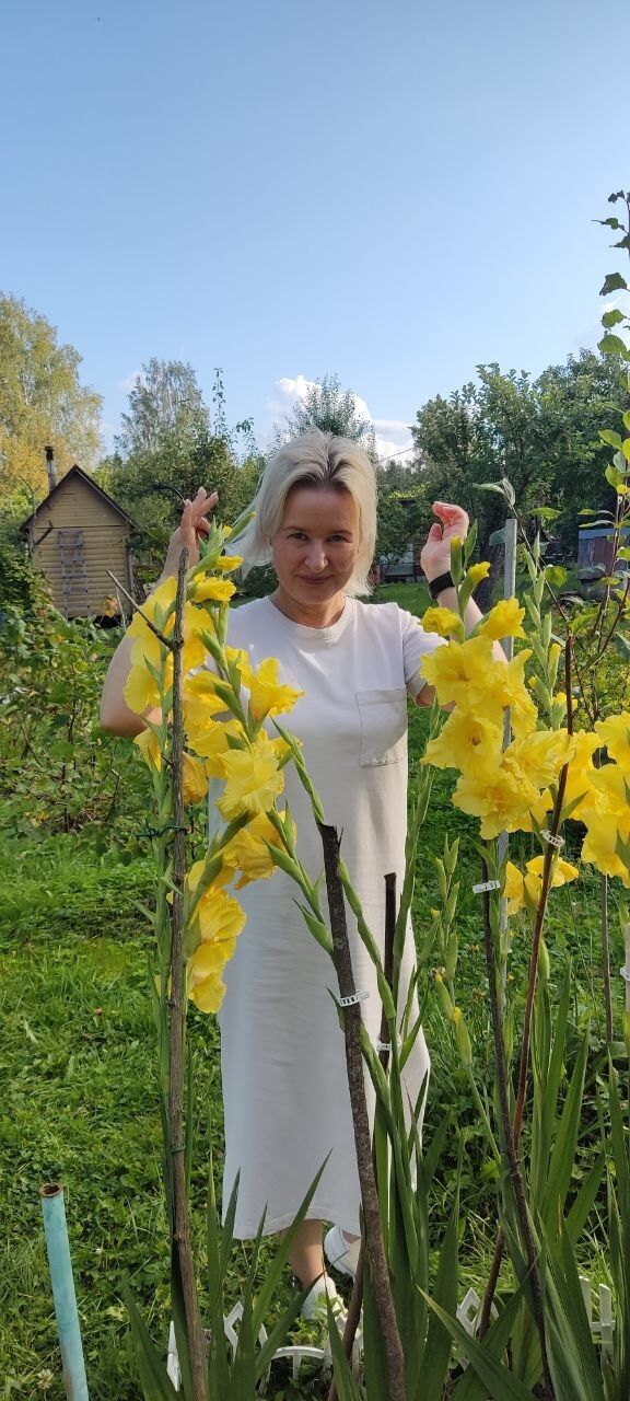  54599092  , 50 ,    -