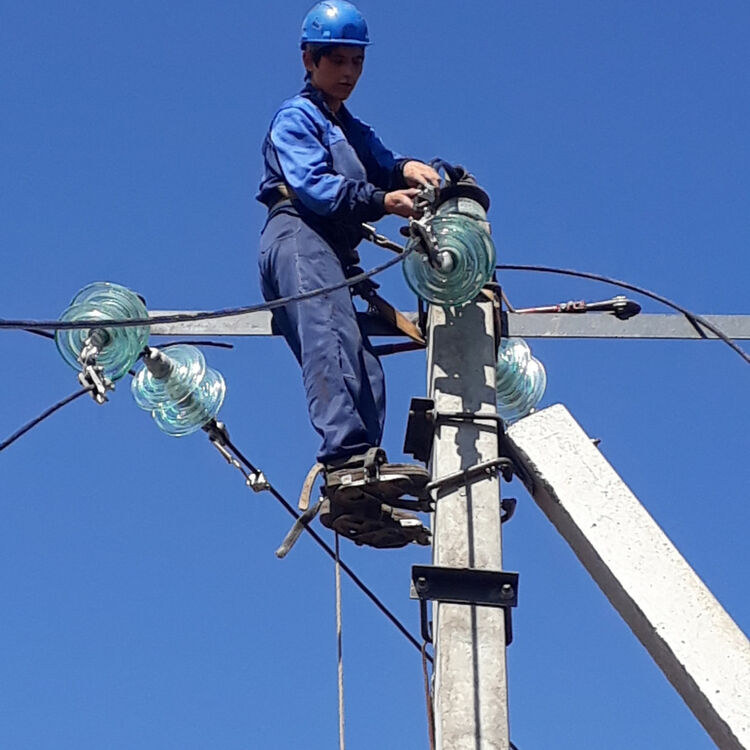 ���������� ������, ���� ������� ���������, 26 ���, ������������ ��� ������, ����� � ���������, c�������� ���������, ���������