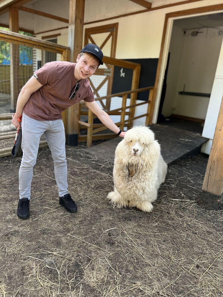 ���������� ������, ���� ������� ��������, 33 ����, ������������ ��� ������, ����� � ���������, c�������� ���������