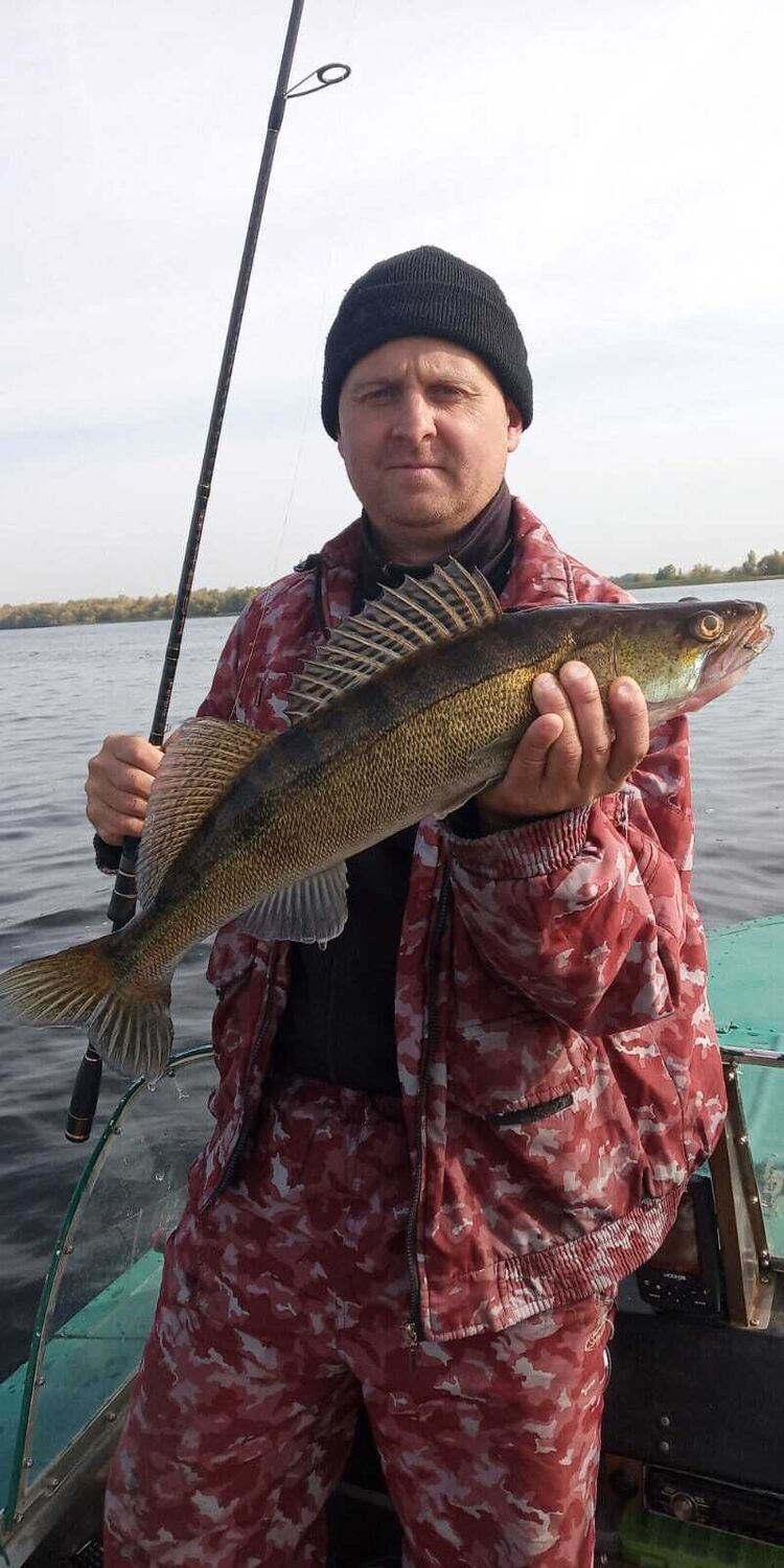 ���� 29356442 ������� �������, 45 ���, ���� ���������� � ��������