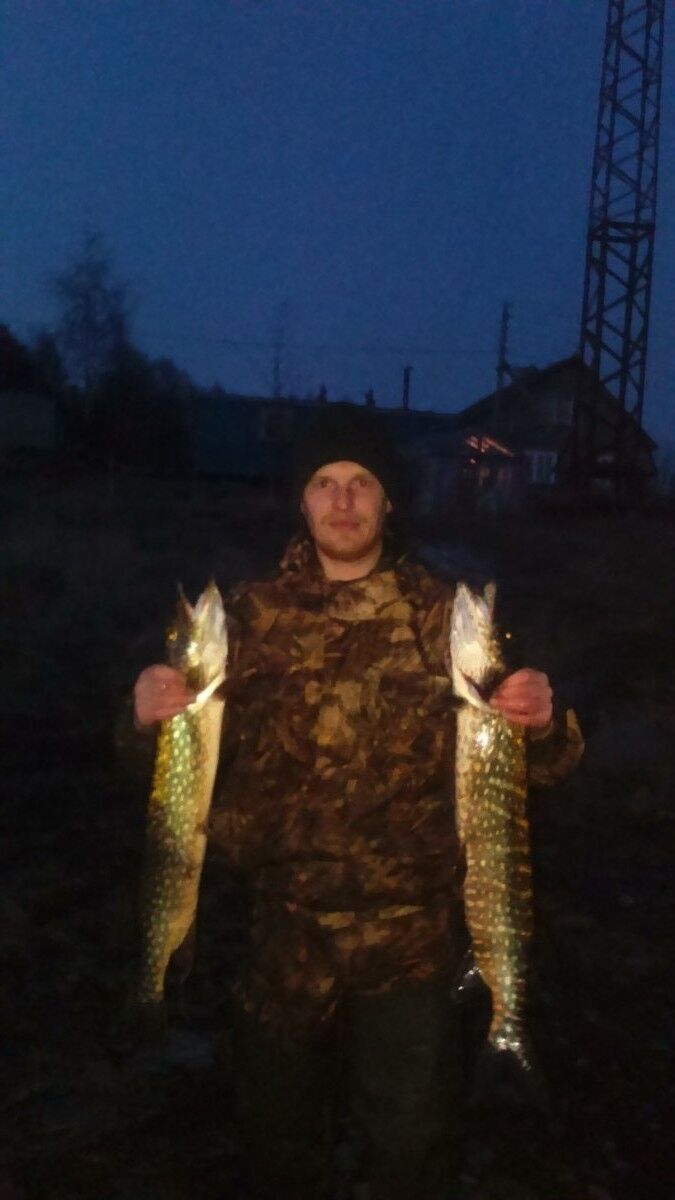 ���� 8291042 ������� ϸ��, 37 ���, ���� ���������� � �����-����������