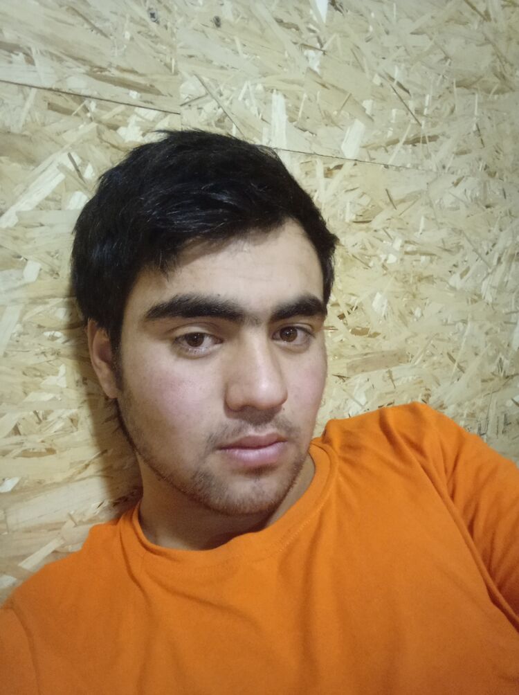  31484102  , 22 ,    