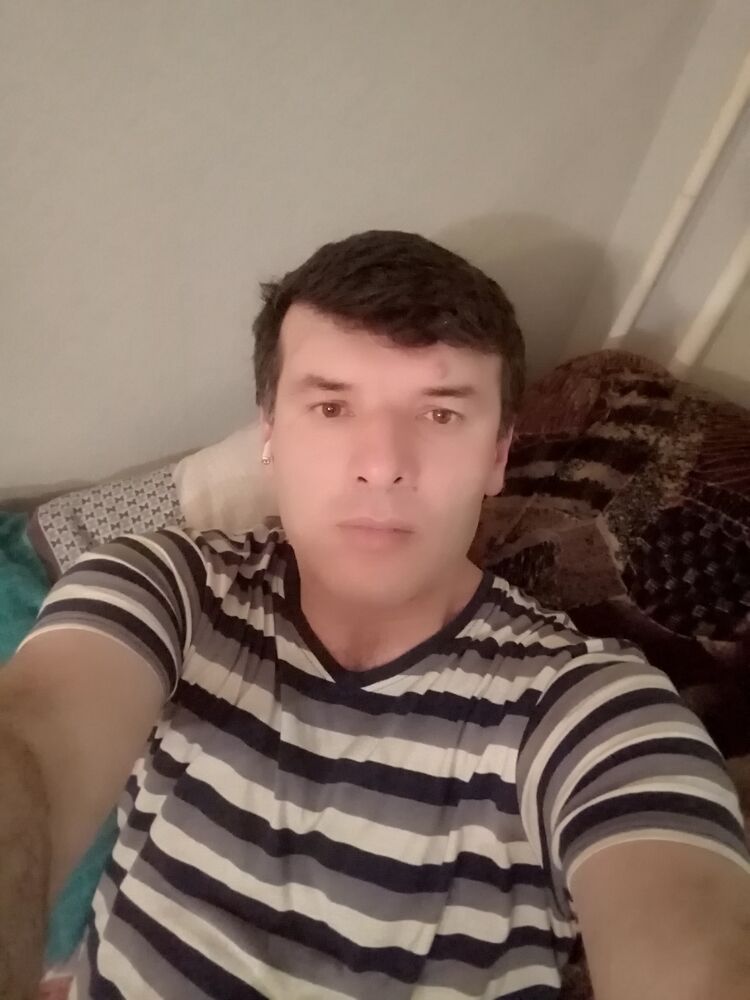  50427702  , 43 ,    