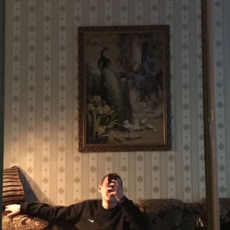  31737012  , 22 ,    