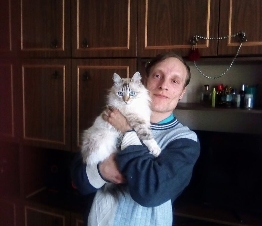 ���� 16038782 ������� �����, 38 ���, ���� ���������� � �����������