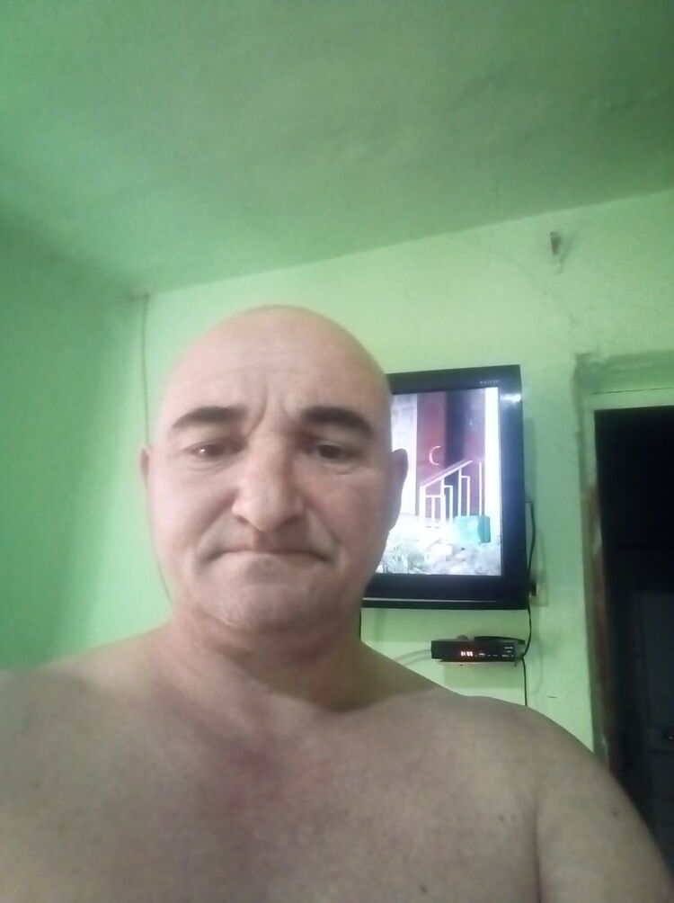  19503162  , 50 ,    