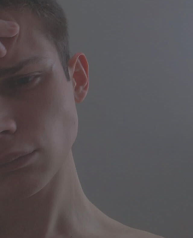  36616322  , 24 ,    --