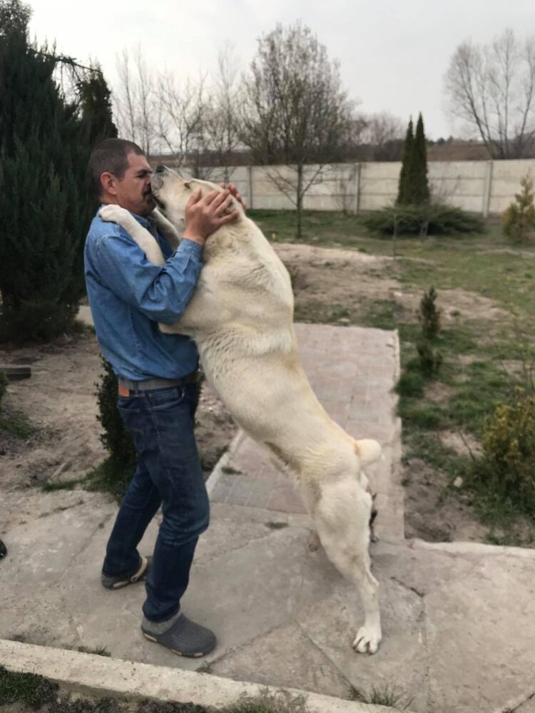  ,   , 59 ,   ,   