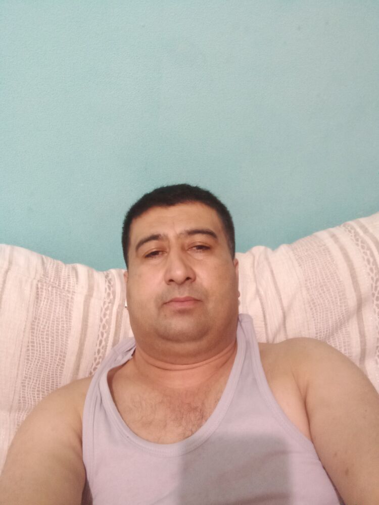  41383962  , 43 ,    