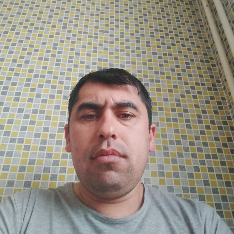 ���� 46231432 ������� ����, 34 ����, ���� ���������� � �����������