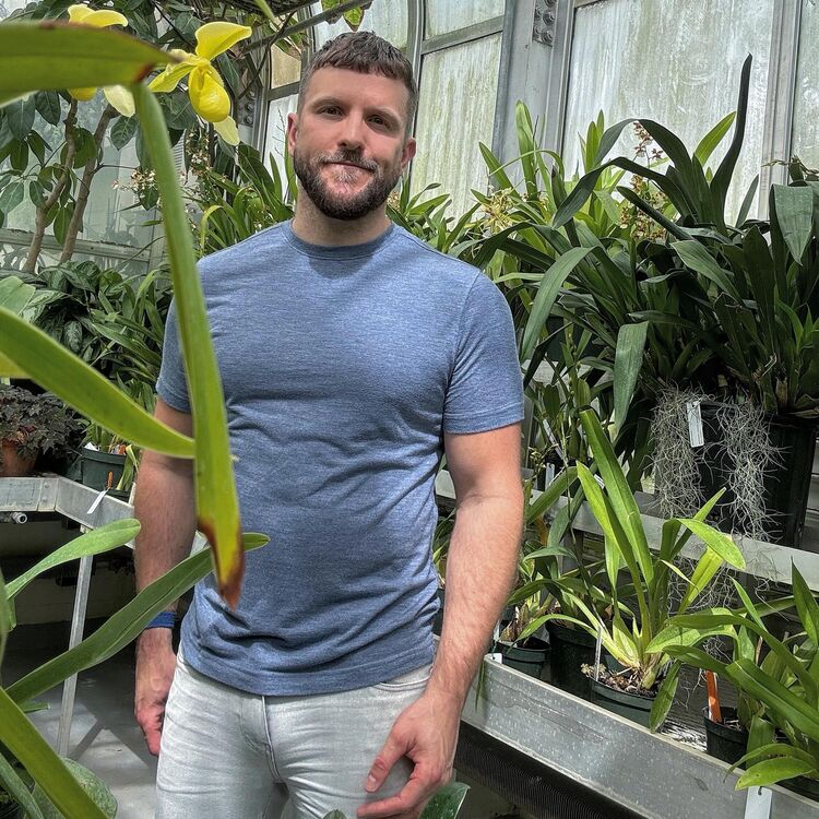  43491532  , 33 ,    --